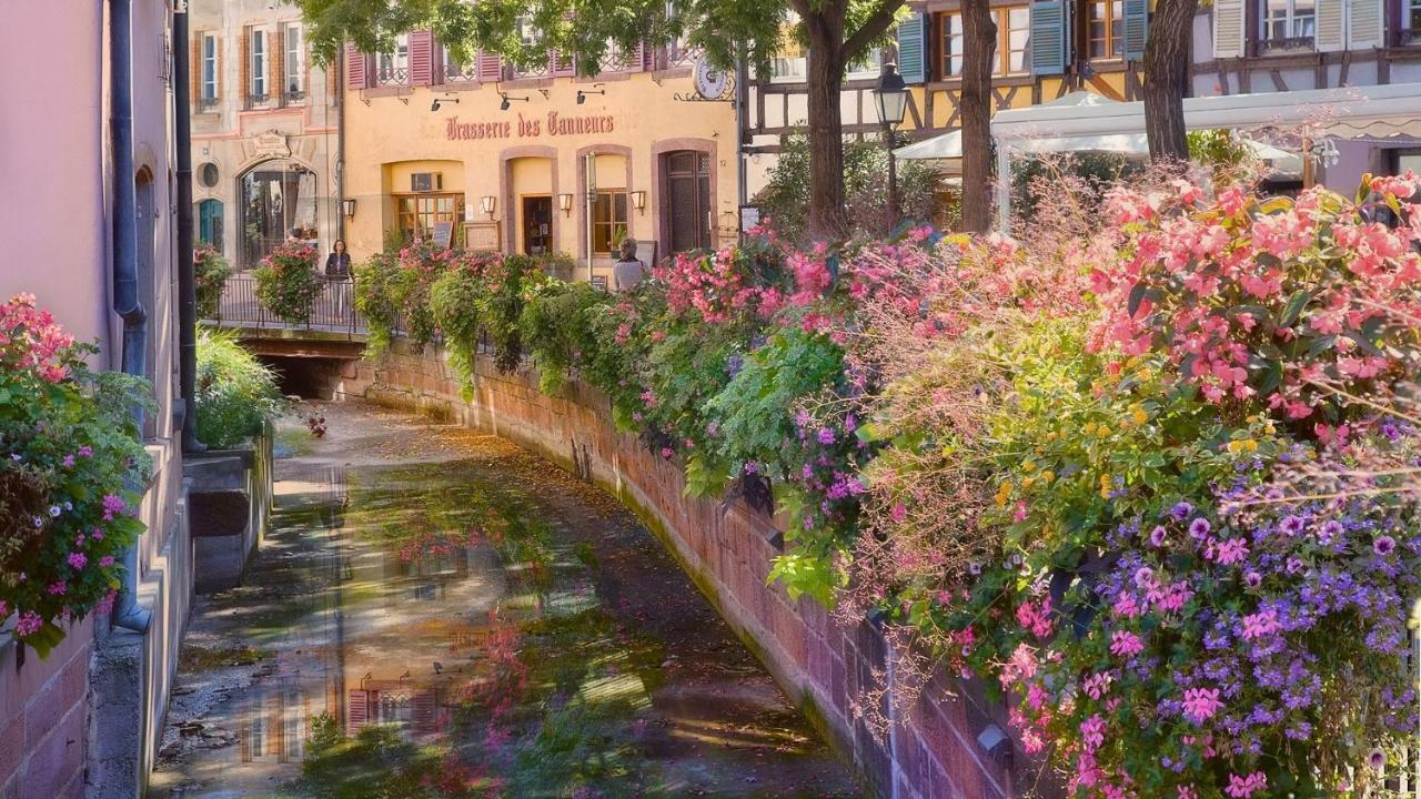 Residences Du Theatre Colmar Dış mekan fotoğraf